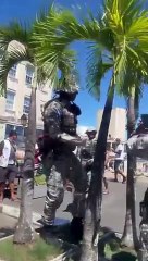 Aranha-caranguejeira é resgatada no Centro Histórico de Salvador