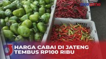 Harga Cabai di Wonosobo, Jawa Tengah Tembus Rp100 Ribu Per Kilogram