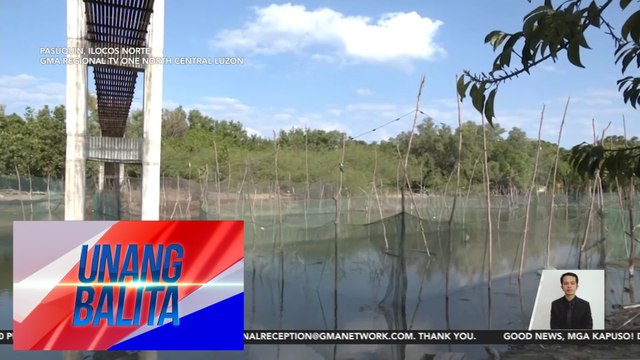 Tilapia at bangus sa ilang palaisdaan, nangangamatay dahil sa pagbaba ng tubig | UB