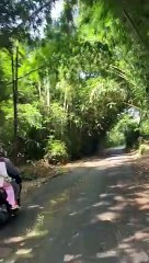 Perjalanan Di Pedesaan