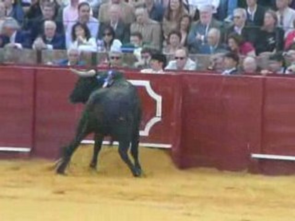 corrida