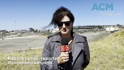 Saleyards report - March 1, 2024 - The Standard