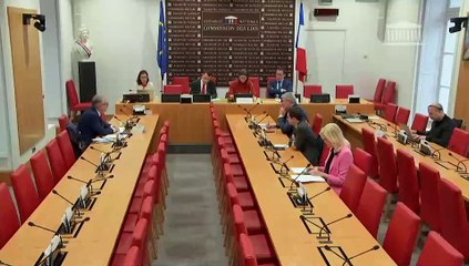 Modèle de protection et de sécurité civiles : M. Régis Cousin, président de la Fédération française des métiers de l’incendie (FFMI) ; Mme Dominique Faure, ministre déléguée  - Jeudi 29 février 2024