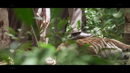 Captain Miller  |  VFX Breakdown by TMEFX