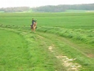 Pilou moi clem galop