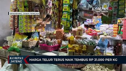 Harga Telur Terus Naik Tembus Rp 31.000 Per Kilogram