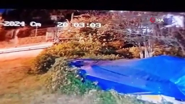 Bodrum'daki kedi ve köpeklerin katili yakalandı