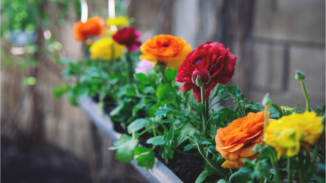 Fünf Tipps für einen bunten Start ins Frühjahr