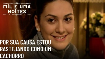 Por sua causa estou rastejando como um cachorro| Mil e Uma Noites - Episódio 53
