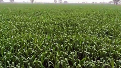 अगले तीन दिन में आएगा यह बदलाव