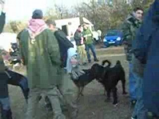 Taz FktL HpF Live Mars08 part 1