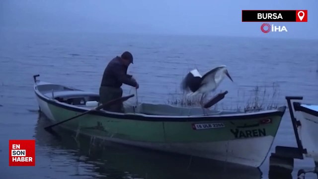 Yaren Leylek 13'üncü kez Balıkçı Adem Amca'ya kavuştu
