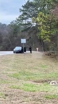 Ce policier se prend une énorme gamelle en poursuivant une femme