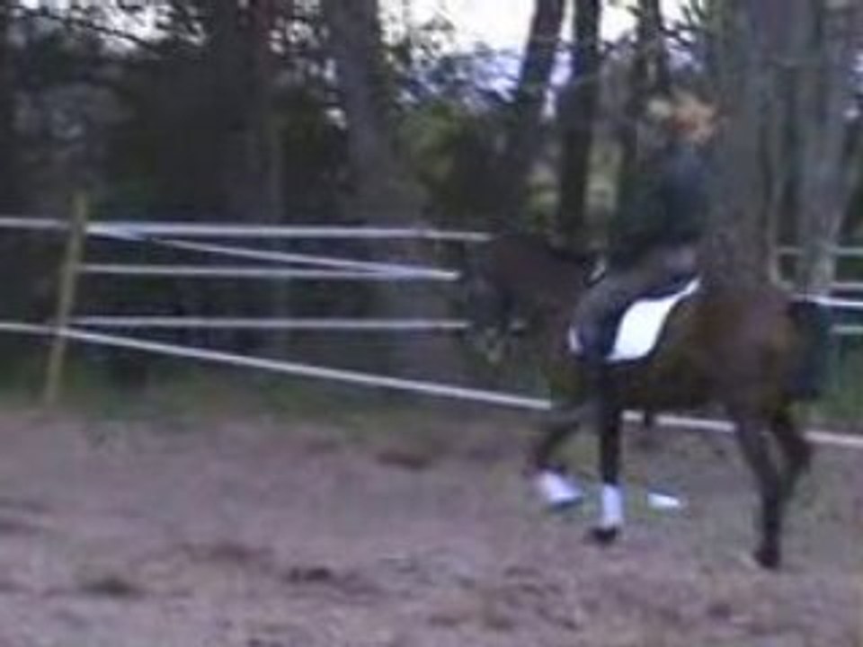 20080327183743