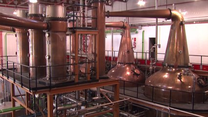 Una experiencia diferente para disfrutar durante el Día del Padre