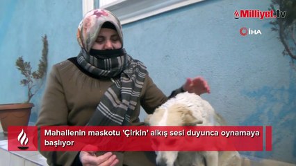 Mahallenin maskotu 'Çirkin' alkış sesi duyunca oynamaya başlıyor