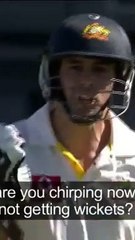 Quick Revenge in Cricket - James Andersen vs Mitchell Johnson - Australia vs England Ashes Test MAtch