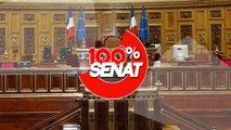 100% Sénat - Commission d'enquête Narcotrafic : Roberto Saviano auditionné