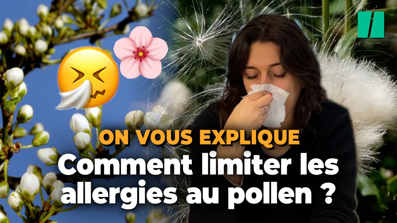 Les bons gestes à adopter contre les allergies au pollen - Vidéo ...