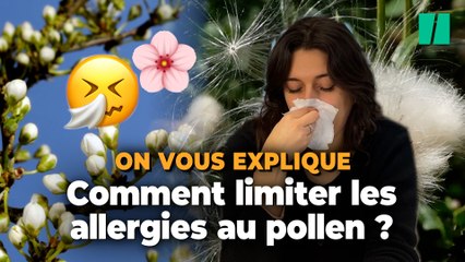 Les bons gestes à adopter contre les allergies au pollen