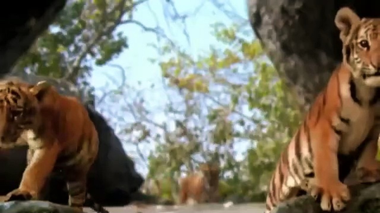 Deux Frères Bande-annonce (EN)