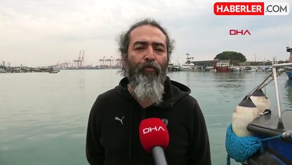 Denizanası istilası devam ediyor: "Ölü bile olsa dokunmayın"