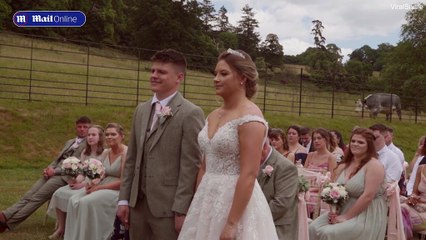 Une vache interrompt les voeux de mariage d'un couple