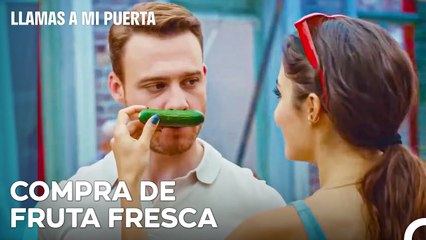 Control De Calidad A Través De La Nariz De Serkan - Llamas A Mi Puerta