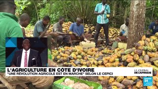 Agriculture en Côte d'Ivoire : comment produire un cacao responsable et durable ?