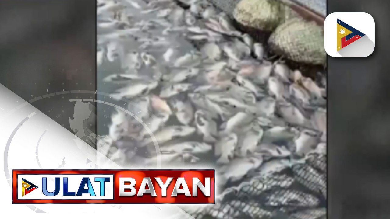 Fish kill sa Lake Sebu, South Cotabato, iniimbestigahan na ng BFAR Region 12
