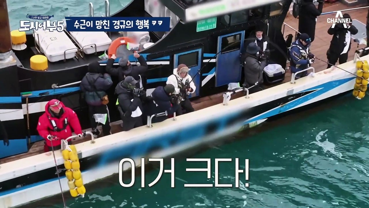 [#도시어부5] ★경규의 날!!!★ 인 줄 알았던 참돔 낚시, 10분 전에 터진 역대...