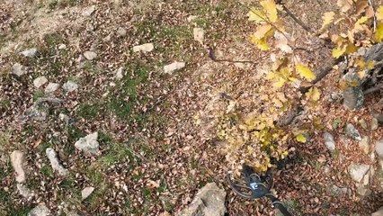 Aslan İşaretinin Gösterdiği Yerde Define Taş Kapağa Kaldırınca Çıktı !!!