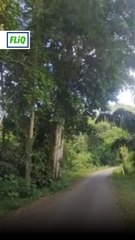 Tempat healing paling best