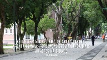 Belém tem 578,870 km² de áreas verdes, aponta Semma; população deseja ainda mais árvores na cidade