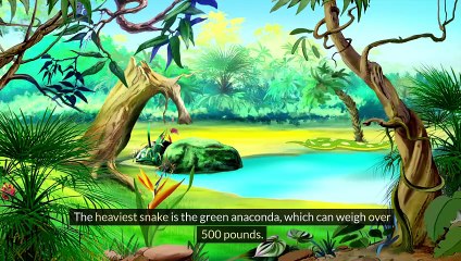 100 Facts About Snakes