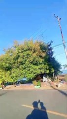 jalan jalan sore sambil menikmati udara segar