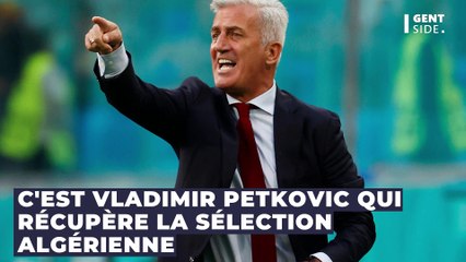 Le salaire de Vladimir Pektovic en tant que sélectionneur de l'Algérie révélé