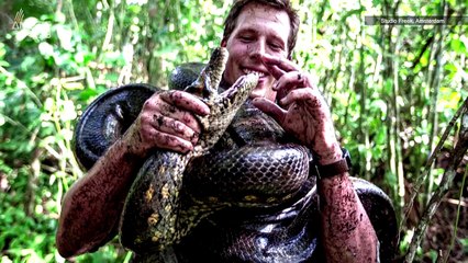Biologists Working on New Will Smith Series Discover New Species of Giant Anaconda in the Amazon
