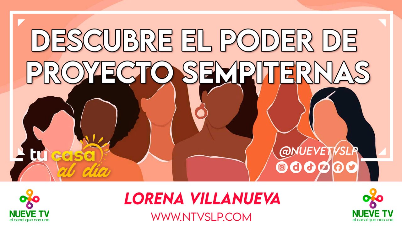 Descubre el Poder de Proyecto Sempiternas