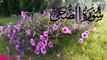 Surah Ad Duha_ سُورَة الضُحَى _The Morning Hours_Ridjaal Ahmed_Relaxing Recitation_#quran #relax (online-video-cutter.com) (2)