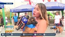 Reportera se emociona hasta las lágrimas tras adoptar a un perrito EN VIVO en Surco