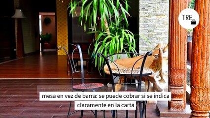 Cuidado con el "Ticket fake": esto es todo lo que pueden y no pueden cobrarte en bares y restaurantes, según Facua y la OCU