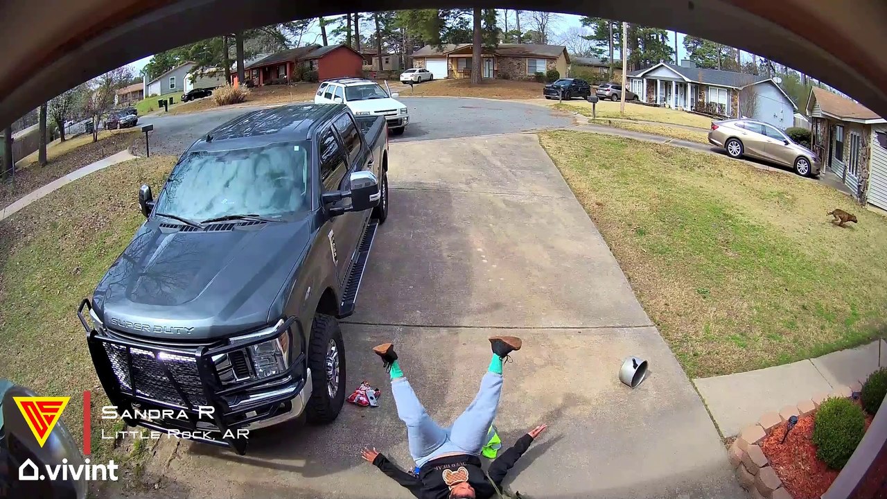 Woman and Dog Got Scared From Each Other Caught on Vivint Camera | Doorbell Camera Video