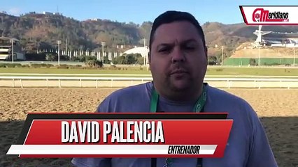 HIPISMO: David Palencia, Entrenador.