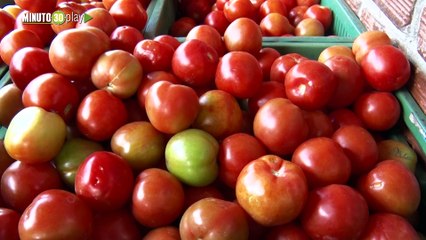 Mayorista confirma que no hay desabastecimiento de productos en Antioquia