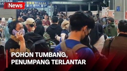 Calon Penumpang KRL Terlantar di Stasiun Tanah Abang karena Pohon Tumbang di Perlintasan
