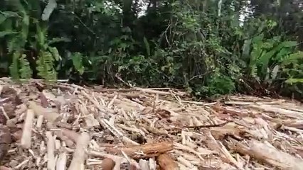 Cinco municipios antioqueños en estado de emergencia - Murindo