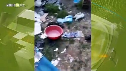 Qué berraquita perrita abandonada en el patio de una casa en Rionegro logró sobrevivir con sus cachorritos