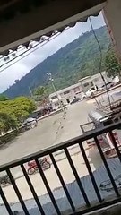 [VIDEO] Toribio en alerta Fuerte enfrentamiento con Disidencias de las Farc genera confinamientos 2