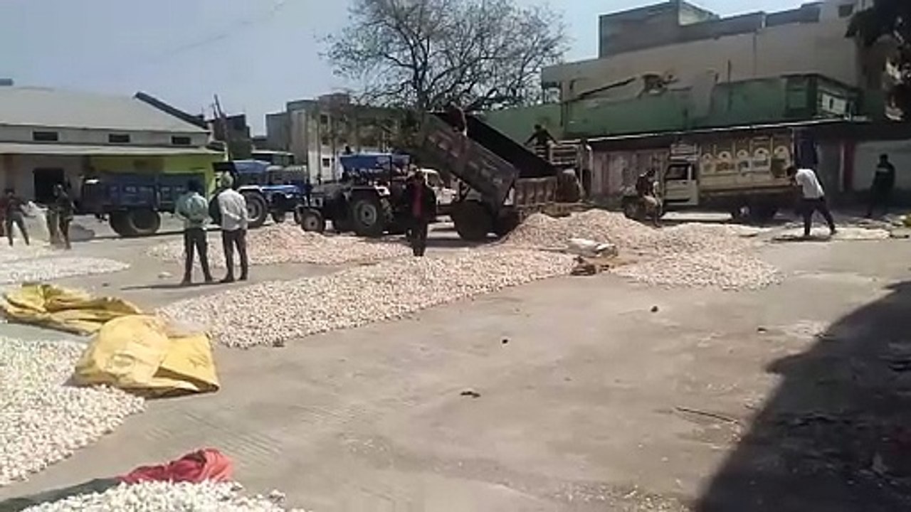 patrika